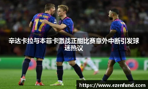 辛达卡拉与本菲卡激战正酣比赛意外中断引发球迷热议